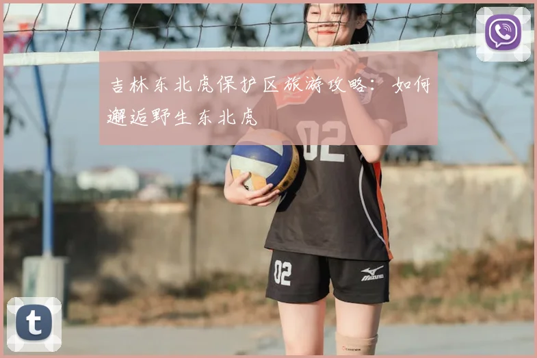 吉林东北虎保护区旅游攻略:如何邂逅野生东北虎