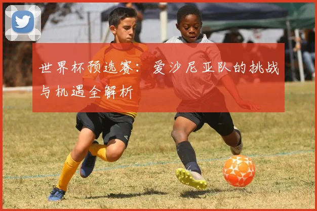 世界杯预选赛：爱沙尼亚队的挑战与机遇全解析